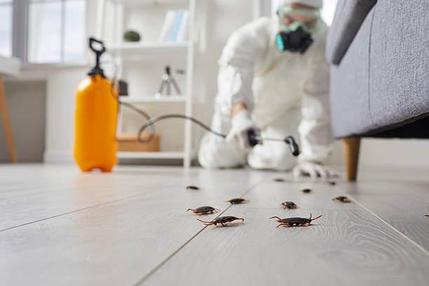 Commercial Kitchen Cockroach Control in Island Lake